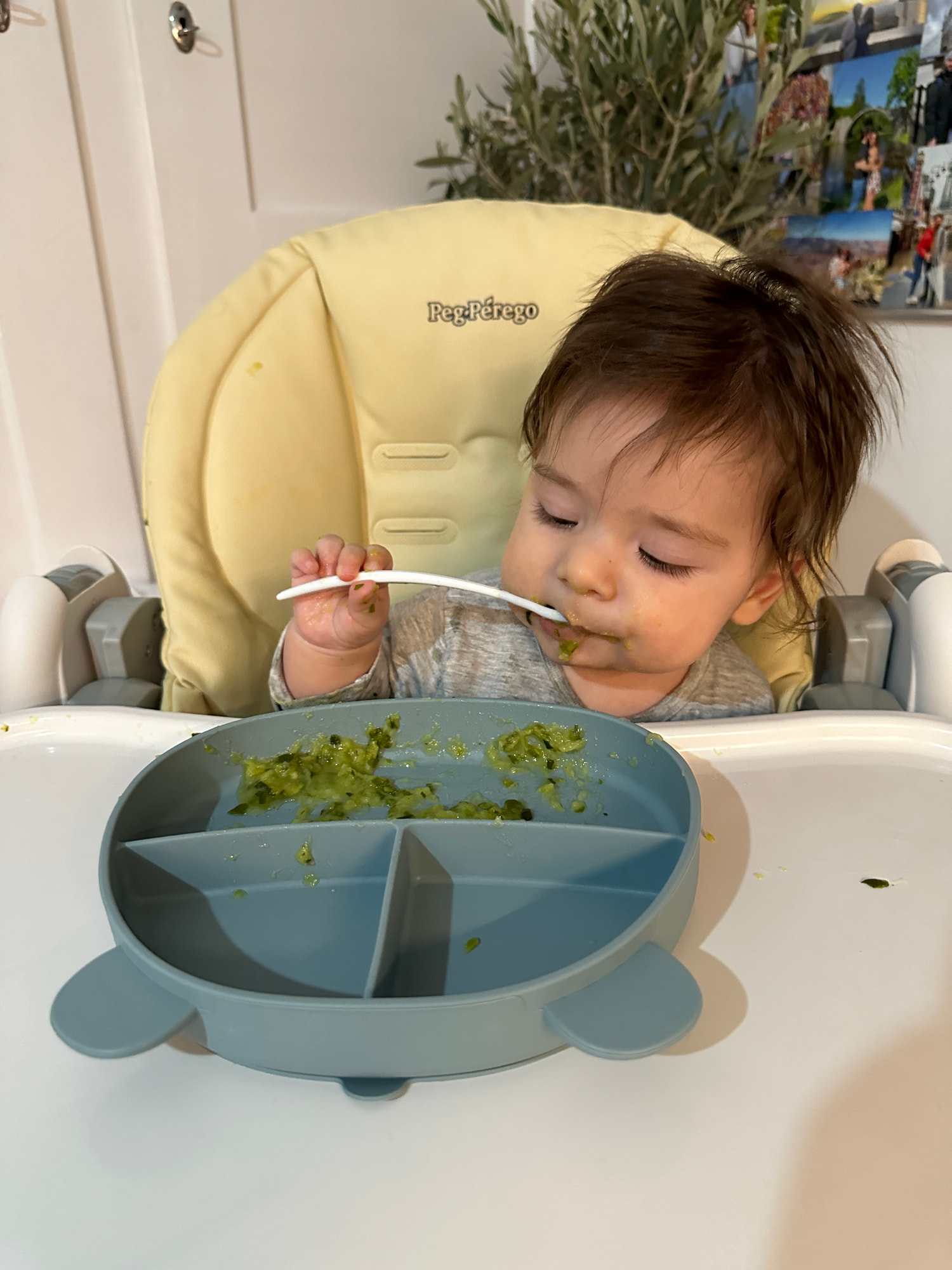 Ein Kleinkind sitzt im Hochstuhl mit gelbem Polster und isst mit einem Löffel grünes Gemüsepüree aus einem blauen Teller in Schildkrötenform.